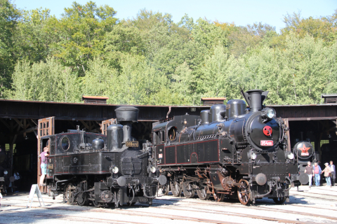 Im Bahnhofsgelände und angrenzendem Museumsgelände gab es historische und moderne Eisenbahnen zu entdecken. Im Museum haben die Dampfloks 310.072 und 354.195 vor dem Lokschuppen Aufstellung genommen. (Bildquelle: TSD)